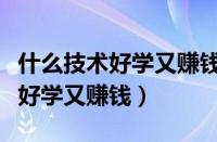 什么技术好学又赚钱前景又大男生（什么技术好学又赚钱）