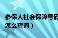 参保人社会保障号码怎么查询（社会保障号码怎么查询）