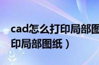 cad怎么打印局部图纸放大一点（cad怎么打印局部图纸）