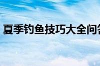 夏季钓鱼技巧大全问答（夏季钓鱼技巧大全）