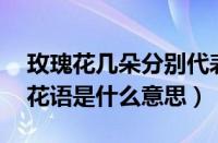 玫瑰花几朵分别代表什么意思（33朵红玫瑰花语是什么意思）