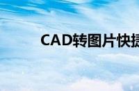 CAD转图片快捷键（cad转图片）