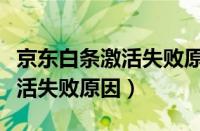 京东白条激活失败原因怎么查询（京东白条激活失败原因）