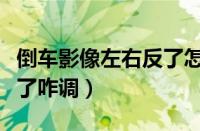 倒车影像左右反了怎么设置（倒车影像左右反了咋调）