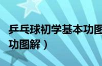 乒乓球初学基本功图解教学（乒乓球初学基本功图解）