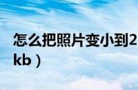 怎么把照片变小到2m（怎么把照片变小到20kb）