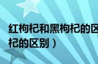 红枸杞和黑枸杞的区别与功效（红枸杞和黑枸杞的区别）