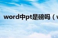 word中pt是磅吗（word里pt是什么意思）