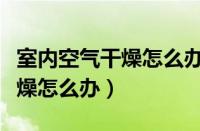 室内空气干燥怎么办简单小窍门（室内空气干燥怎么办）