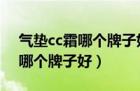 气垫cc霜哪个牌子好用推荐干皮（气垫cc霜哪个牌子好）