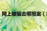 网上被骗去哪报案（怎么举报app软件诈骗）