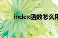 index函数怎么用（int是什么函数）