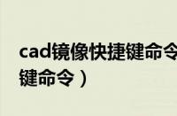 cad镜像快捷键命令是哪一个（cad镜像快捷键命令）