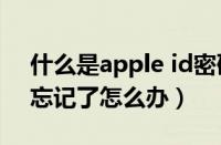 什么是apple id密码忘记了怎么办（id密码忘记了怎么办）