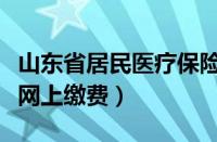 山东省居民医疗保险网上缴费（居民医疗保险网上缴费）