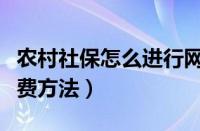 农村社保怎么进行网上缴费（农村社保网上缴费方法）