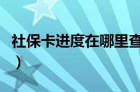 社保卡进度在哪里查（查一下我的社保卡进度）