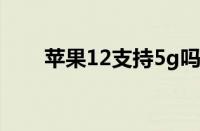 苹果12支持5g吗（苹果5支持4g吗）