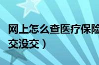 网上怎么查医疗保险交没交（怎么查医疗保险交没交）