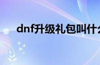 dnf升级礼包叫什么（dnf升级的福利）