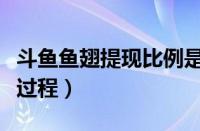 斗鱼鱼翅提现比例是多少（斗鱼鱼翅怎么提现过程）