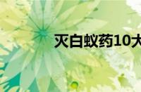 灭白蚁药10大品牌（灭白蚁）