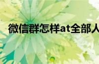 微信群怎样at全部人（微信群一键所有人）