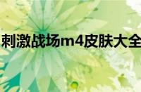 刺激战场m4皮肤大全（刺激战场m416皮肤）