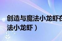 创造与魔法小龙虾在哪钓几率高?（创造与魔法小龙虾）