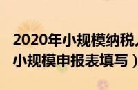 2020年小规模纳税人申报表如何填写（2018小规模申报表填写）