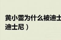 黄小蕾为什么被迪士尼禁止入内（黄小蕾控诉迪士尼）