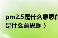 pm2.5是什么意思的pm是什么意思（pm2 5是什么意思啊）