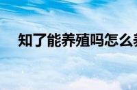 知了能养殖吗怎么养殖（知了养殖方法）