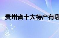 贵州省十大特产有哪些（贵州省十大特产）