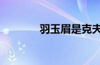 羽玉眉是克夫眉吗（羽玉眉）