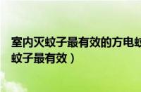 室内灭蚊子最有效的方电蚊拍真引诱蚊子吗法（室内如何灭蚊子最有效）