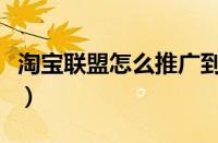 淘宝联盟怎么推广到抖音（淘宝联盟怎么推广）