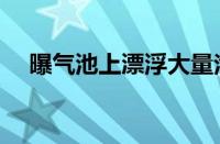 曝气池上漂浮大量泡沫状浮泥（曝气池）