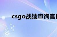 csgo战绩查询官匹（csgo战绩查询）