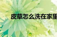 皮草怎么洗在家里视频（皮草怎么洗）