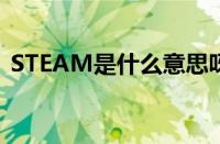 STEAM是什么意思呀（steam是什么意思）