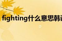 fighting什么意思韩语（fighting什么意思）