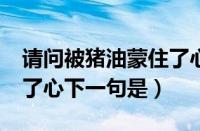 请问被猪油蒙住了心是什么意思?（被猪油蒙了心下一句是）