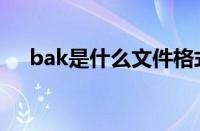 bak是什么文件格式（bak是什么文件）