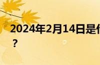 2024年2月14日是什么节日 目前是什么情况？