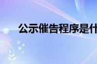 公示催告程序是什么意思（公示催告）