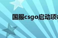 国服csgo启动项命令（启动项 命令）