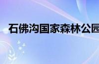 石佛沟国家森林公园现在开放吗（石佛沟）