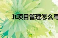 It项目管理怎么写绩效（it项目管理）