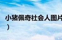 小猪佩奇社会人图片（小猪佩奇社会人什么梗）